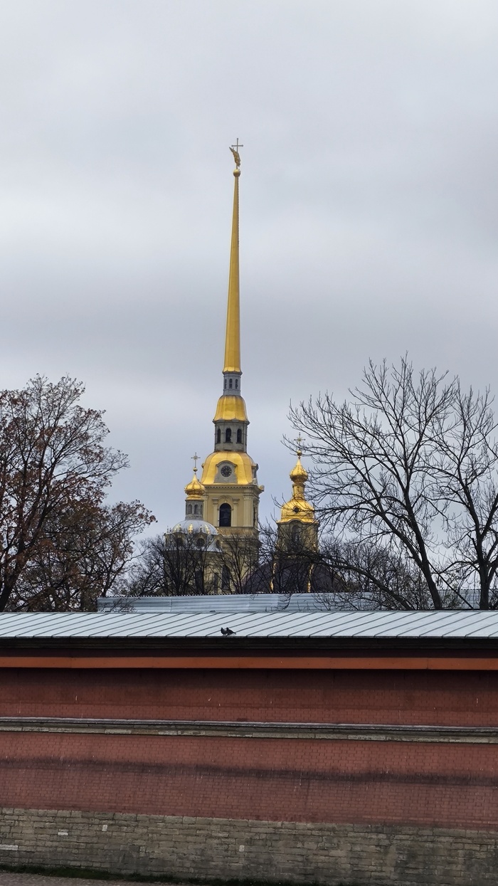 А город у нас хороший, только кассы не очень(