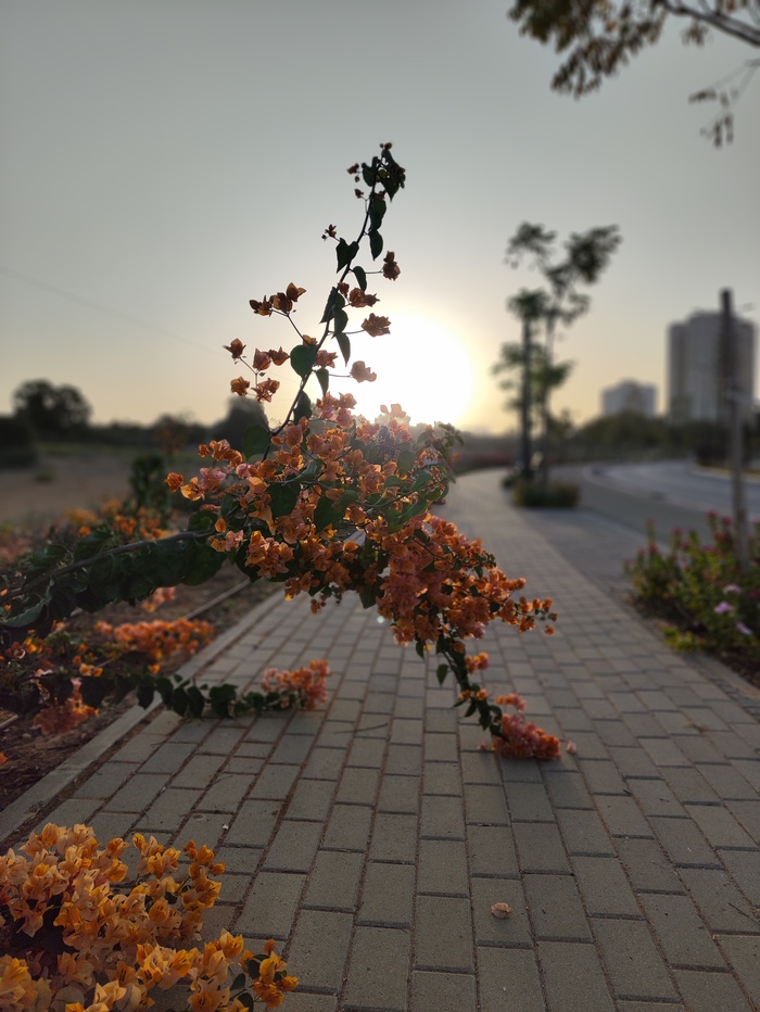 Просто фото