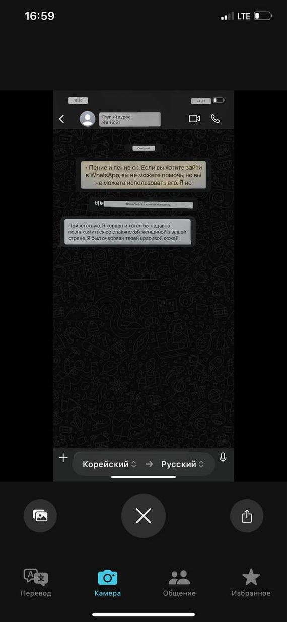 Вот такую картину я застала у себя в вотсапе - Картинка с текстом, Перевод, Переписка, Диалог, Длиннопост