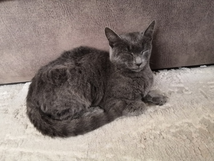 ����� �����, ����� ������) 