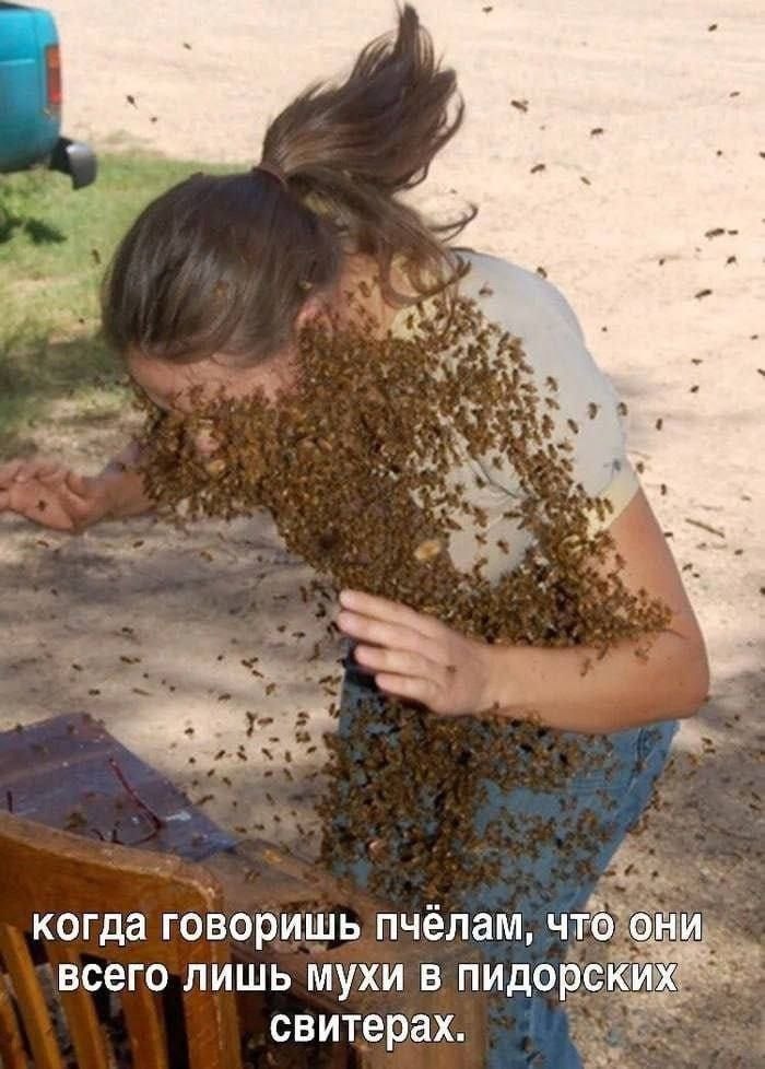  ,        , , 