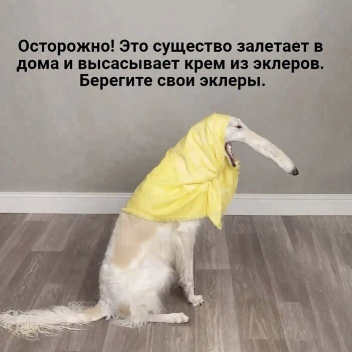Осторожно