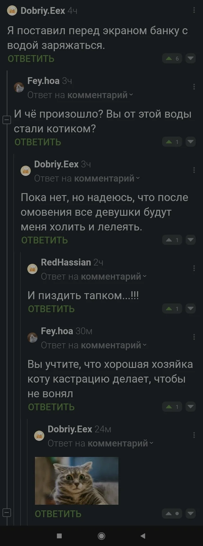 Зарядился по полной - Кот, Комментарии на Пикабу, Скриншот, Юмор, Кашпировский, Вот это поворот, Длиннопост, Мат