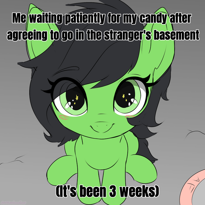    My Little Pony, Filly Anon