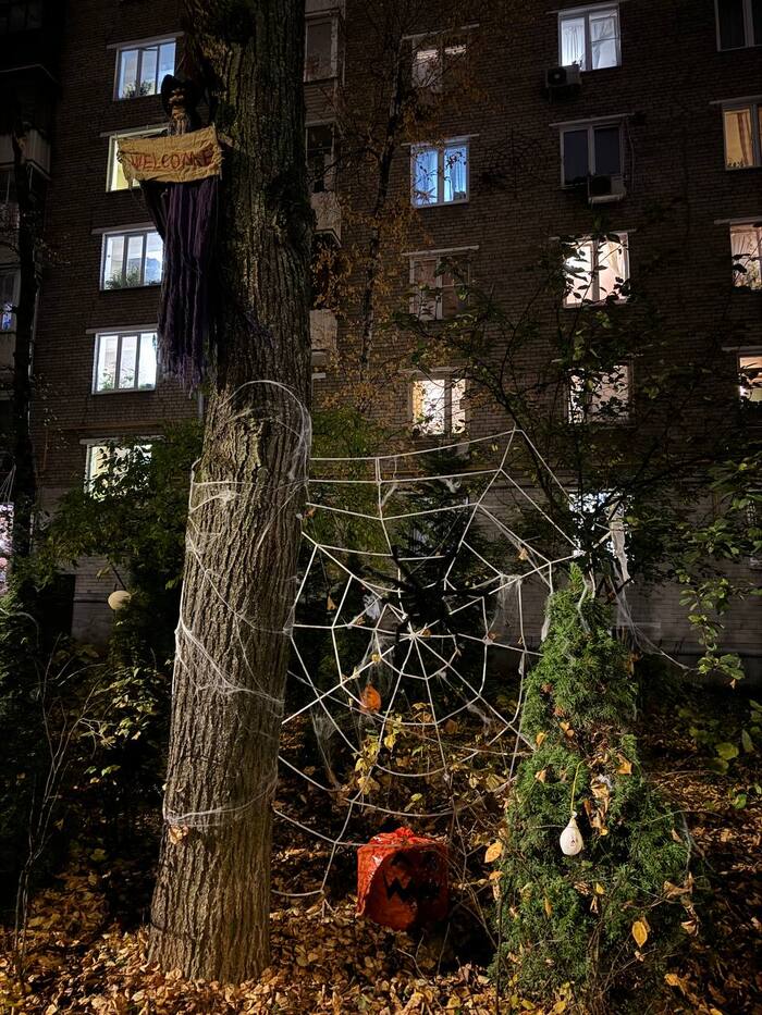 В этой паутине уже двенадцать миллионов мух