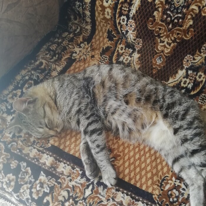 Солнечные ванны)