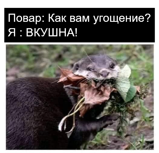  ))
