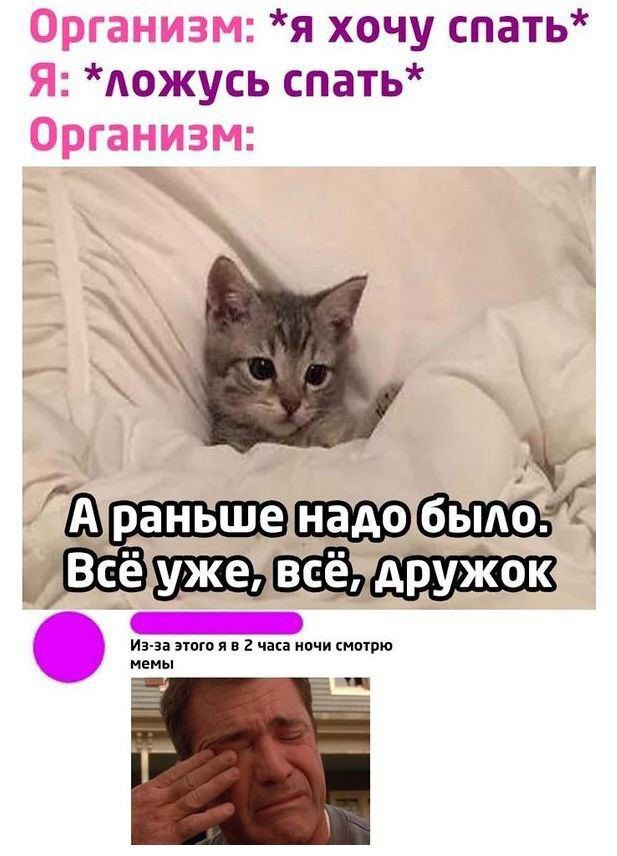   ,  , ,   , , , ,  , , ,  ,  , , , , , Telegram ()