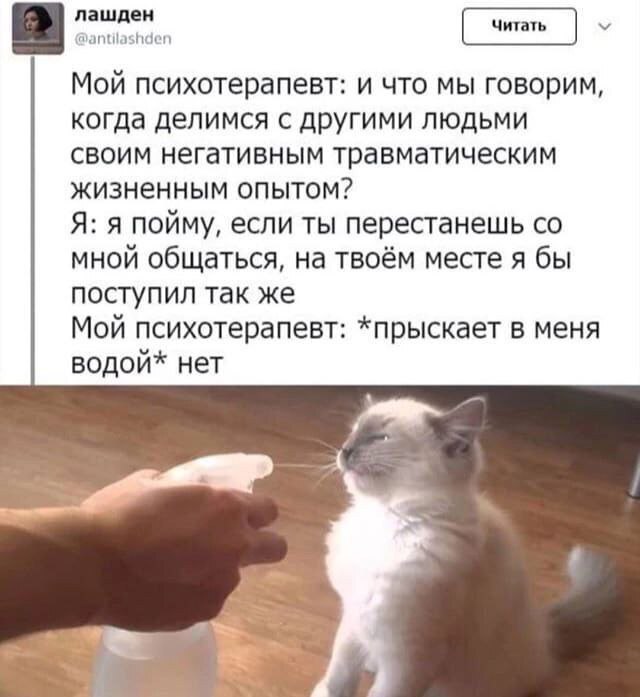 Psychotherapist - Psychology, Психолог, Picture with text, Humor, Memes, cat, Psychotherapy, Psychological help, Dialog, Strange humor, Sadness, Sad humor, Telegram (link)