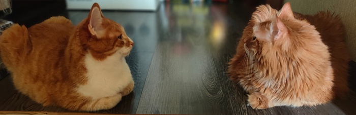      ,    ?  , , ,   
