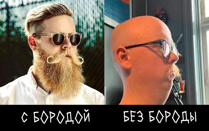 Beard - Humor, Picture with text, Beard