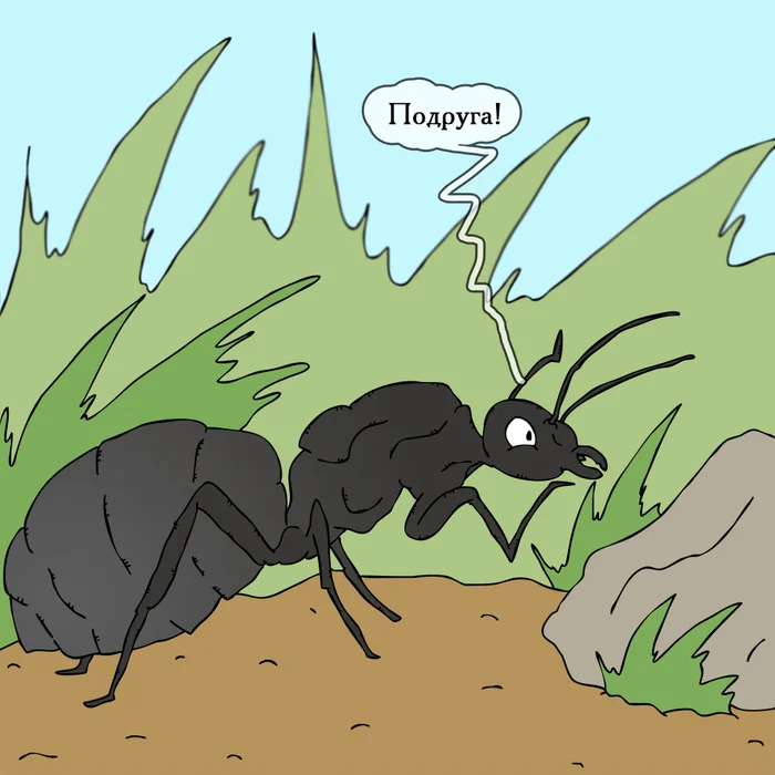 Friendship till death - My, Insects, Comics, Humor, Myrmikiper, Ants, Longpost