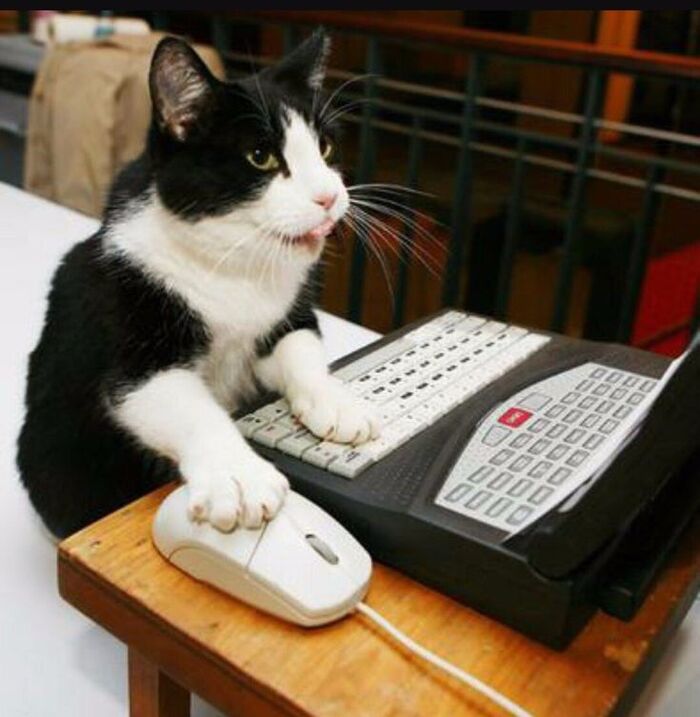 Дело было вечером, делать было нечего