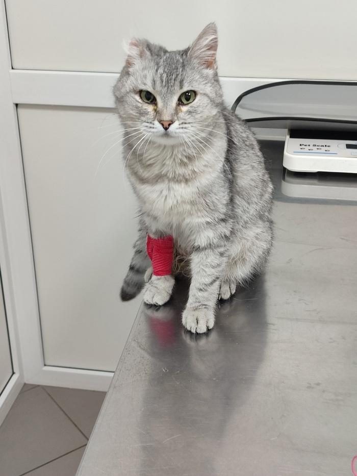 �������  ������