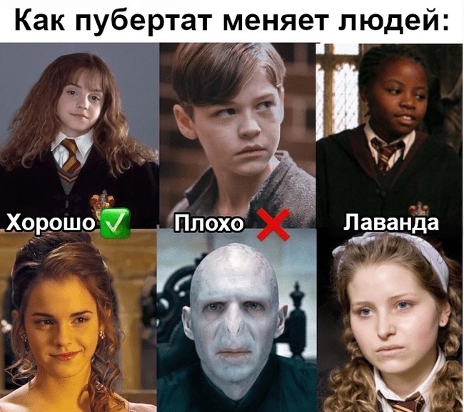 How Puberty Changes People - Harry Potter, Hermione, Voldemort, Lavender, Puberty, Picture with text, Translated by myself, VKontakte (link)