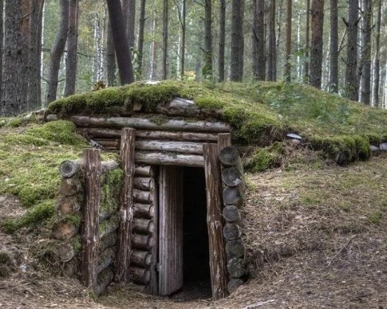 Does anyone know where the dugouts are? - My, Forest, Dugout, Hut, Hut, Hike, The nature of Russia