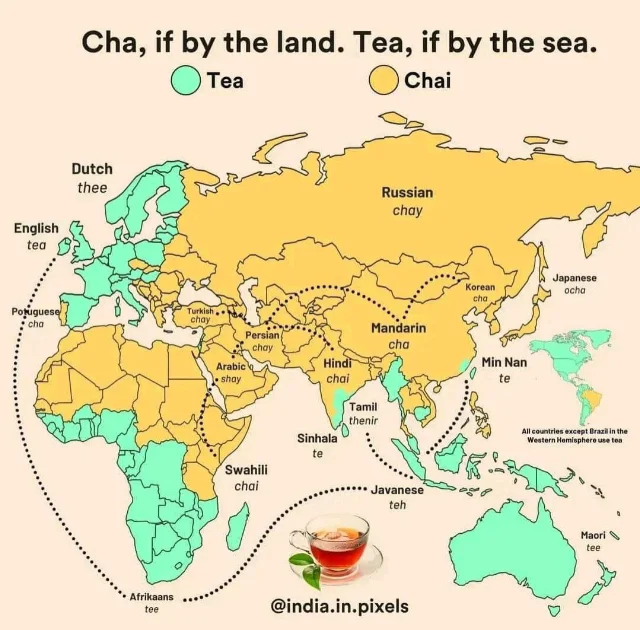 Tea or Tea? How the name of tea depends on the routes of its distribution - Tea, Entertaining, Telegram (link)