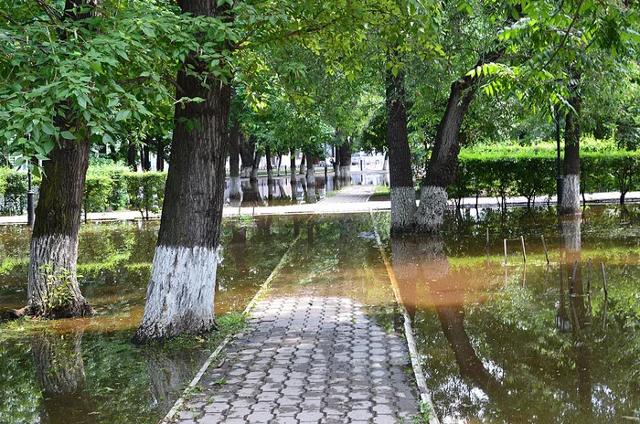 The square after the rain - My, Дальний Восток, Amur region, Blagoveshchensk, The photo, The park