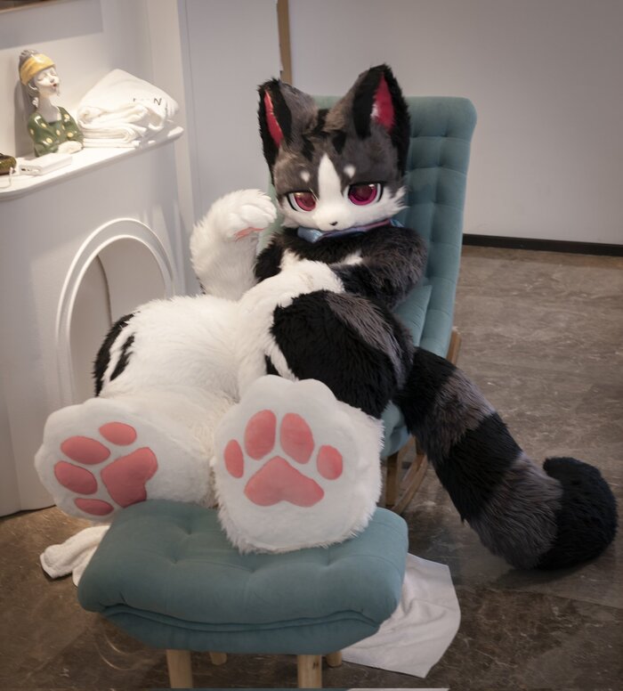 -  ,   -  , , Furry Cat, Furry Feline