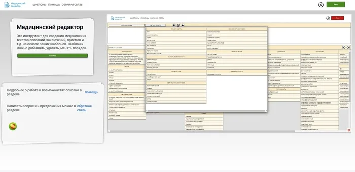 Medical Text Template Engine. Web Application - My, The medicine, Program, Sample, Help, Appendix, Longpost