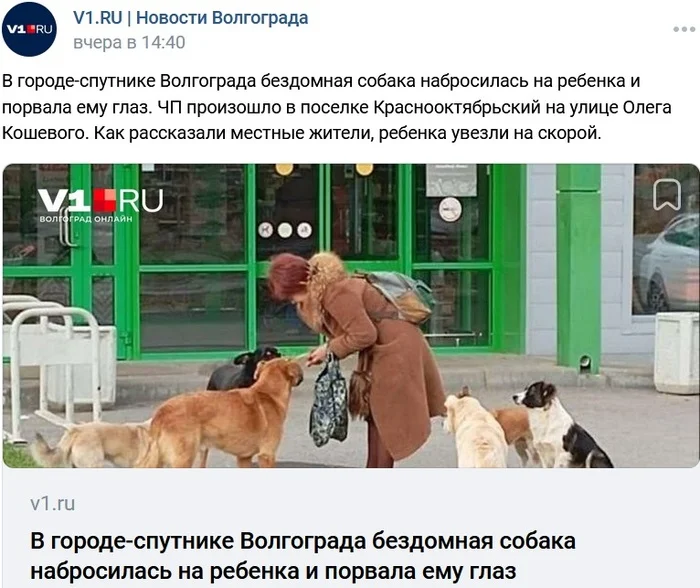 Another attack by stray dogs - Stray dogs, Radical animal protection, Urban crazy, Screenshot, VKontakte (link), Negative, Dog attack, Longpost