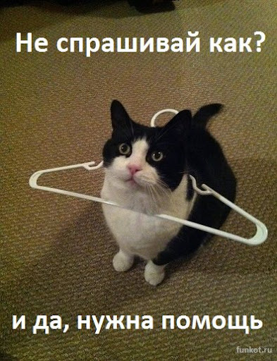 Every Monday starts like this for me - Memes, Stuck, Humor, cat, Picture with text, Hanger