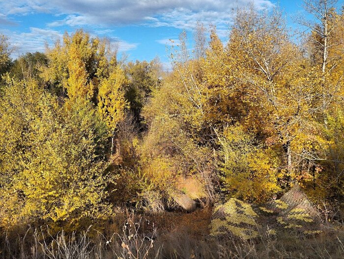 Ƹ���-����������