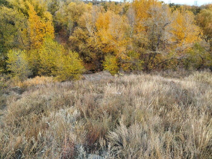 ����-����������