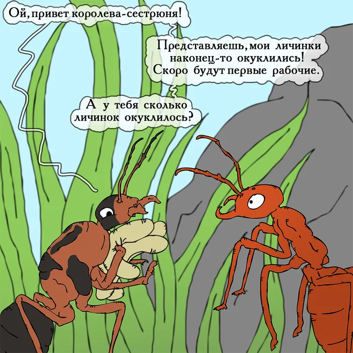 Why bother when you can take what's someone else's? - My, Insects, Comics, Humor, Myrmikiper, Ants, Longpost