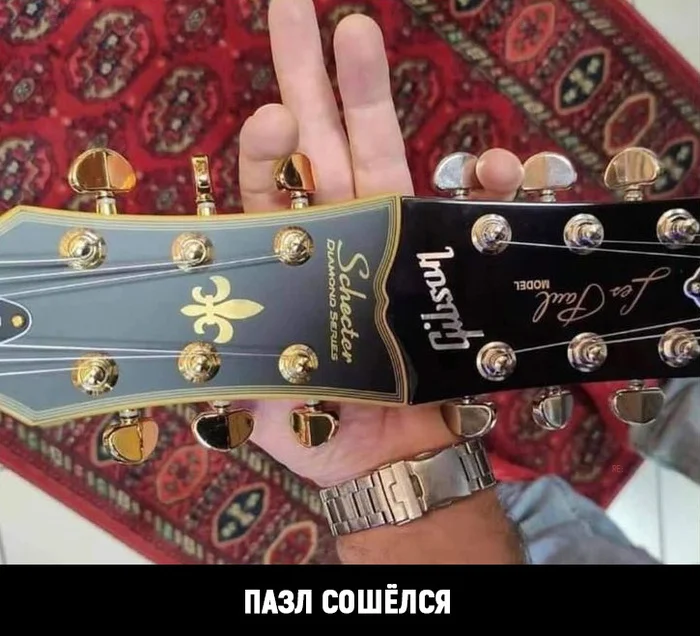 ПАЗЛ СОШЁЛСЯ - Gibson, Schecter, Гитара, Электрогитара, Картинка с текстом