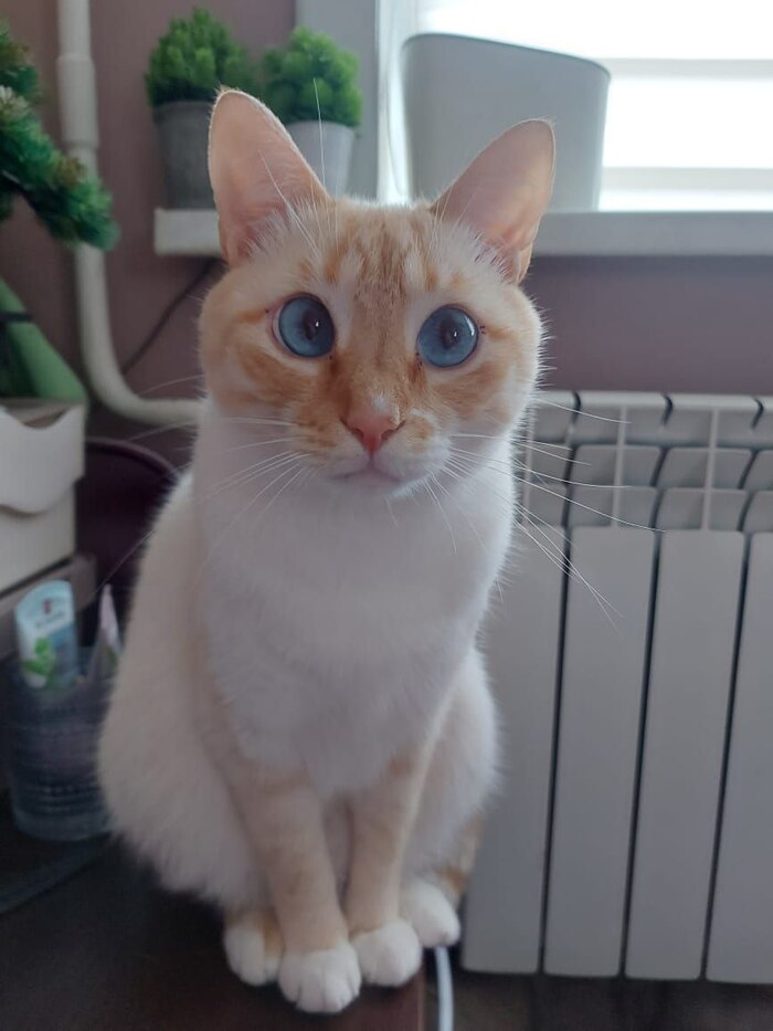 ��� ����������� ?!?