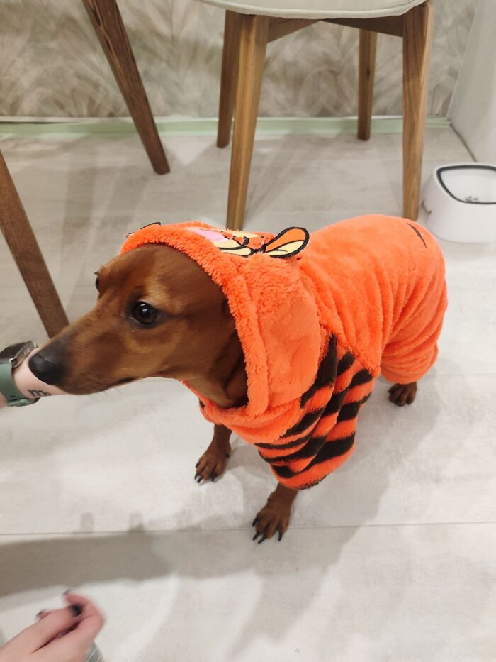          , , ,   , , , , 