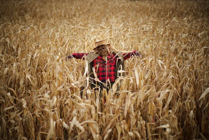 Scarecrow - My, Scarecrow, Halloween, Mask, Halloween costume, Longpost