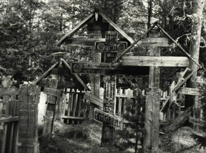 Выглядело кладбище примерно так, разв что было чуть более заброшенное. Фото из интернета.