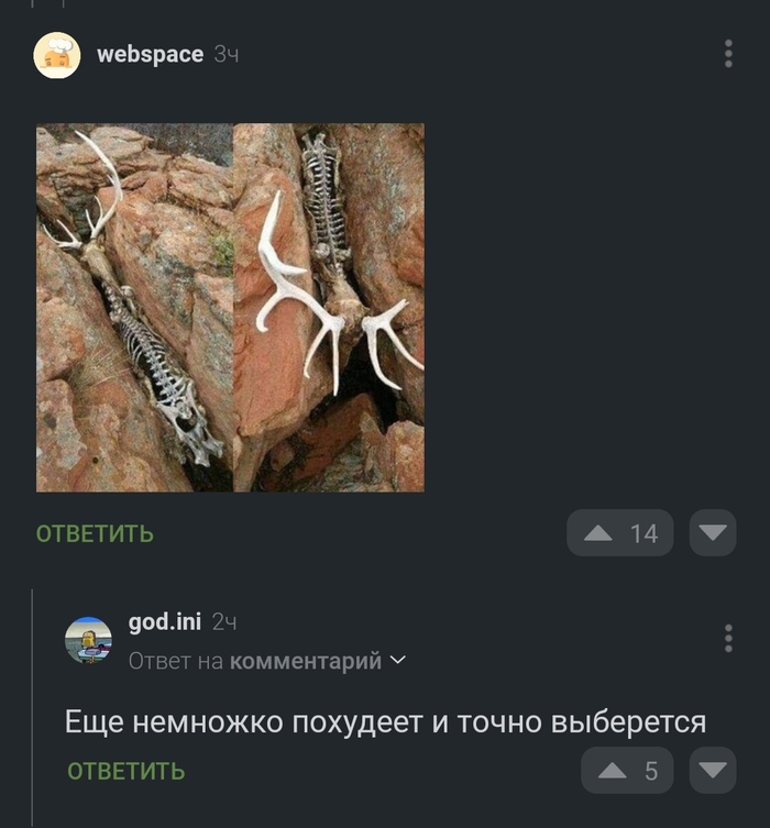 �� ��� ��� �����