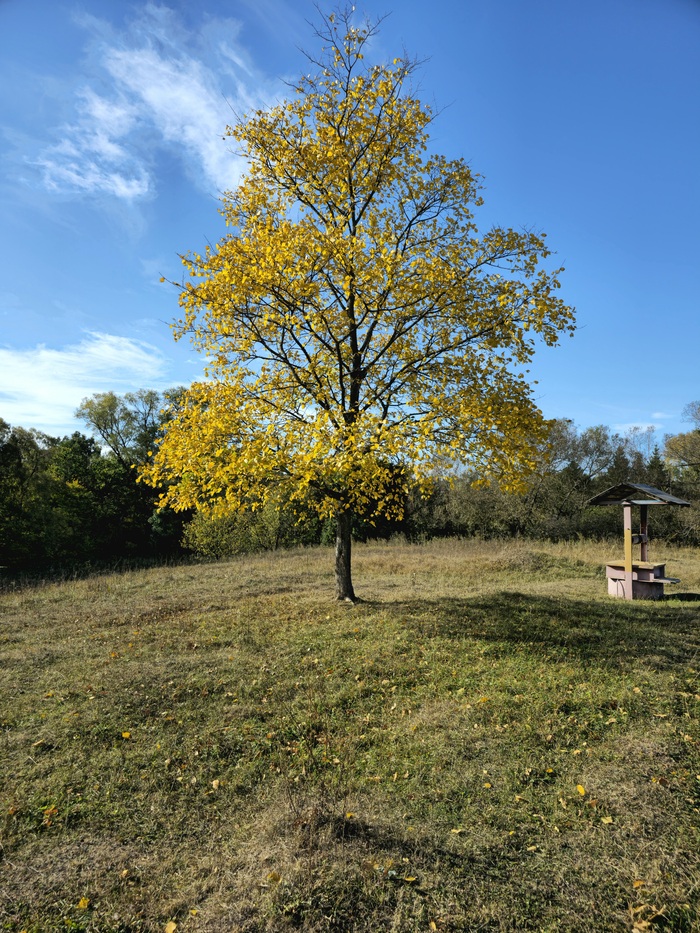 Осень в деревне