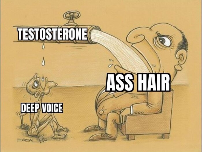  ,   , , , ,  