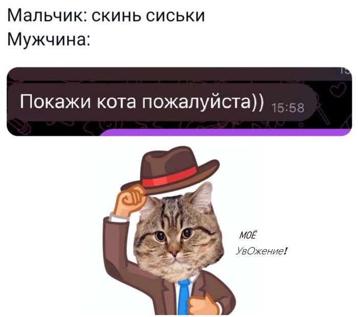 ���� ����� �������