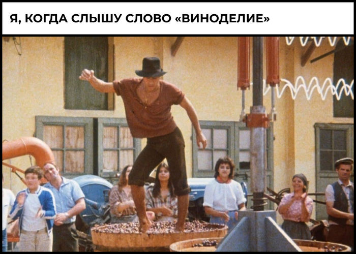 Виноделие в России: интересные факты и популярные сорта винограда