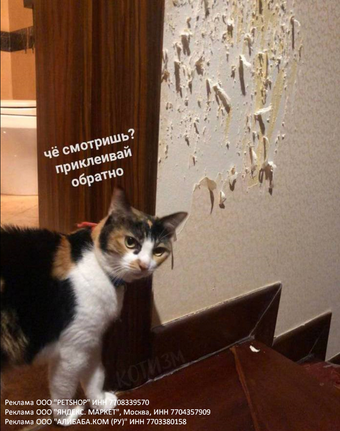 Домашняя диктатура