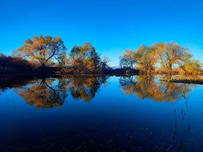 Синева неба и воды - Моё, Природа, Пейзаж, Мобильная фотография, Озеро, Осень, Отражение