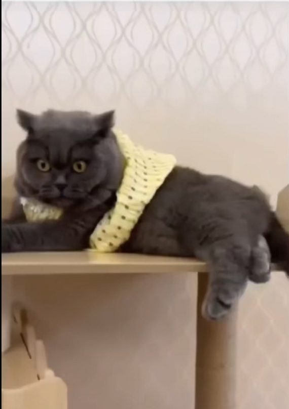       , ,  ,  ,  , ,   , 