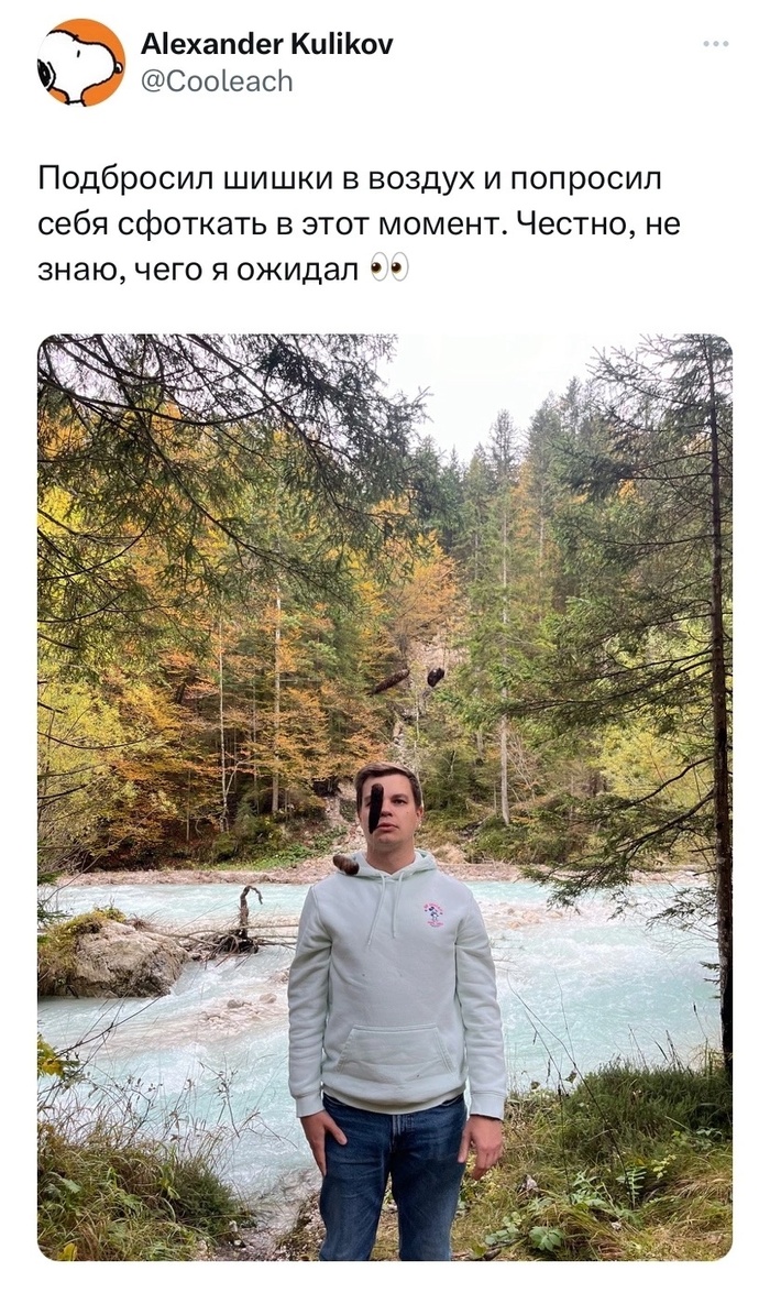 Бросил шишки