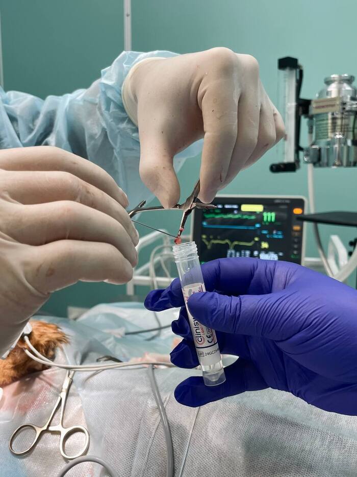 Берём посев в среду Эймса.