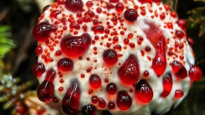   ,         .  ,     ,      .