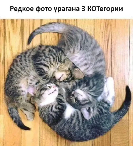   ,   , , , , , Telegram (), , 
