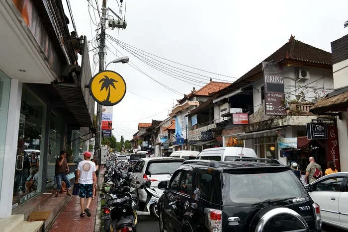 Ubud and surroundings. Bali, Indonesia - My, Travels, Asia, Island, Town, The photo, Indonesia, Bali, Ubud, Jungle, Landscape, Plants, Longpost