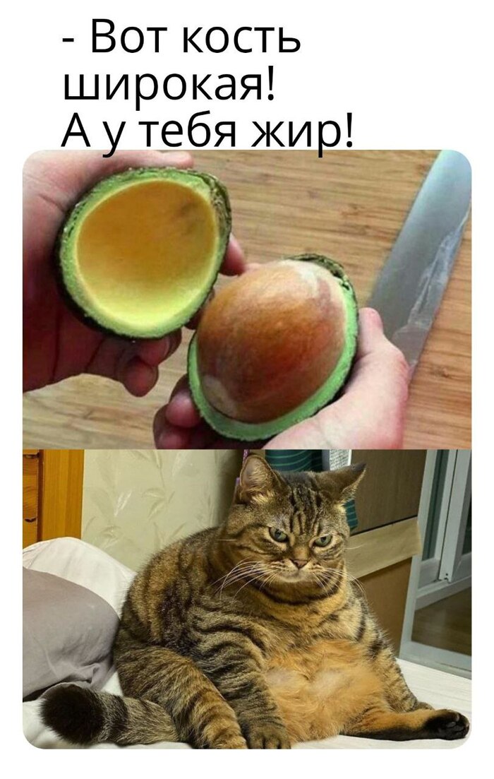   ,   ,  , ,  