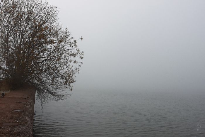 Осенний дзен