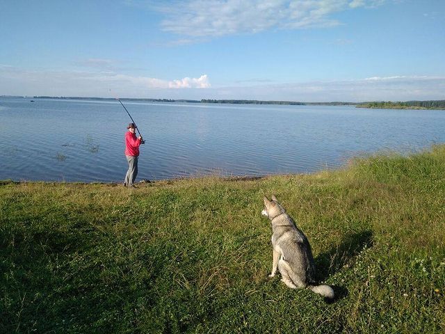 Fishing - My, Fishing, Age, Hobby, The photo